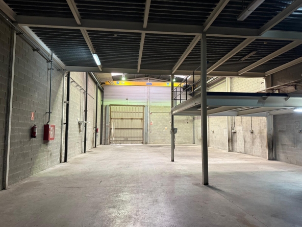 1f6cc180-1c59-4c9c-ac95-7fd6e1c8018f