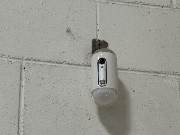 56d44c06-bb78-445b-920b-c19c86087581