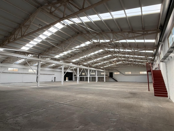 59ee2721-8fa6-431d-84e3-251a8ac89389