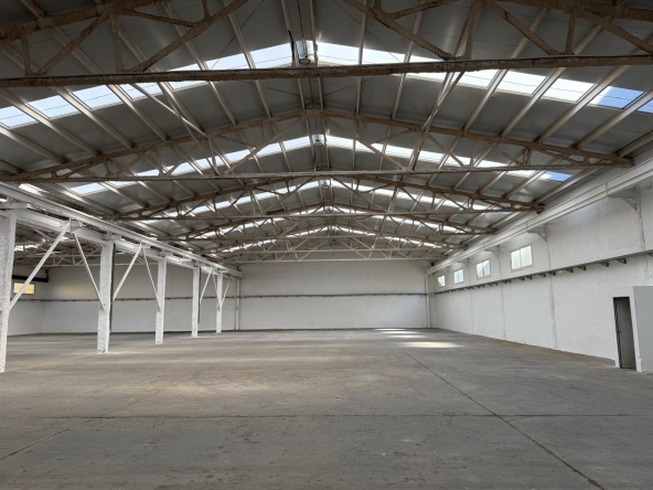 dfd539fb-c643-4431-985c-c0f364137944