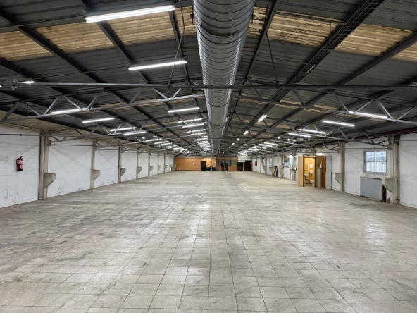 3f71ee56-9306-47b2-9729-dc708b427bf9