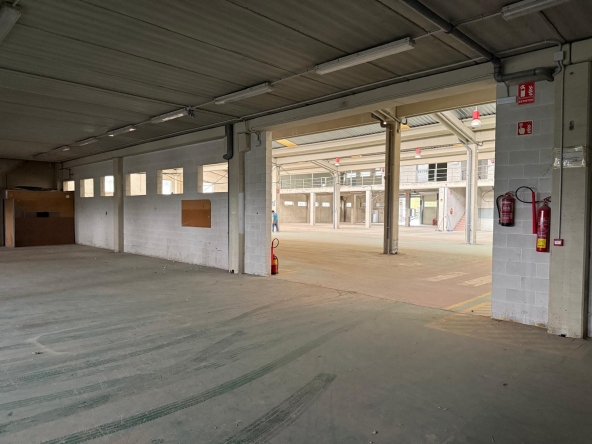 4a72fd46-cc9b-4ea1-a99d-66bef98485cd