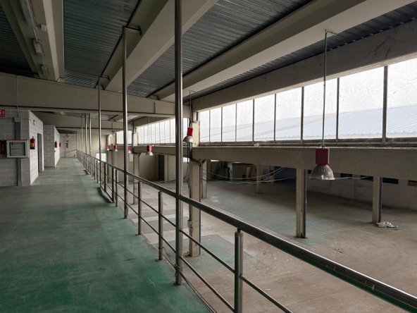 5dd55358-49d6-474c-8172-f0dff9748089