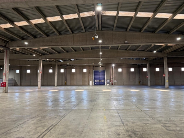 5a71963a-6ad7-42a6-bba0-d4c6244c0da6