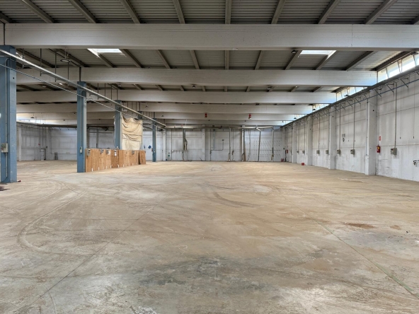 81e4a3f7-0ff7-48ad-b9fd-7066d722f15c