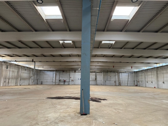 99c4d8cf-eef7-4d4c-be38-5a91f5359c11