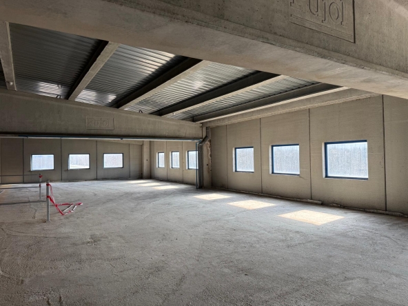 b02d3228-904a-4c7f-b7f4-cbb59bb0db3f