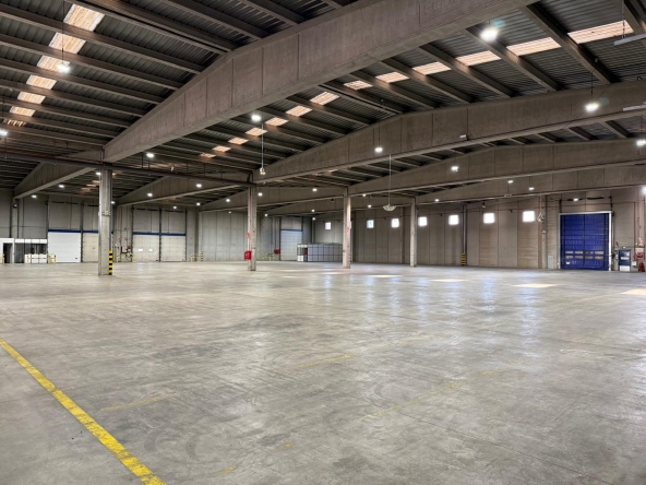 ba6de29f-d409-4a0e-8ec7-b0011350ee5d