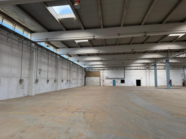 d0b23afd-8397-49ca-96d2-ff3301d600c2